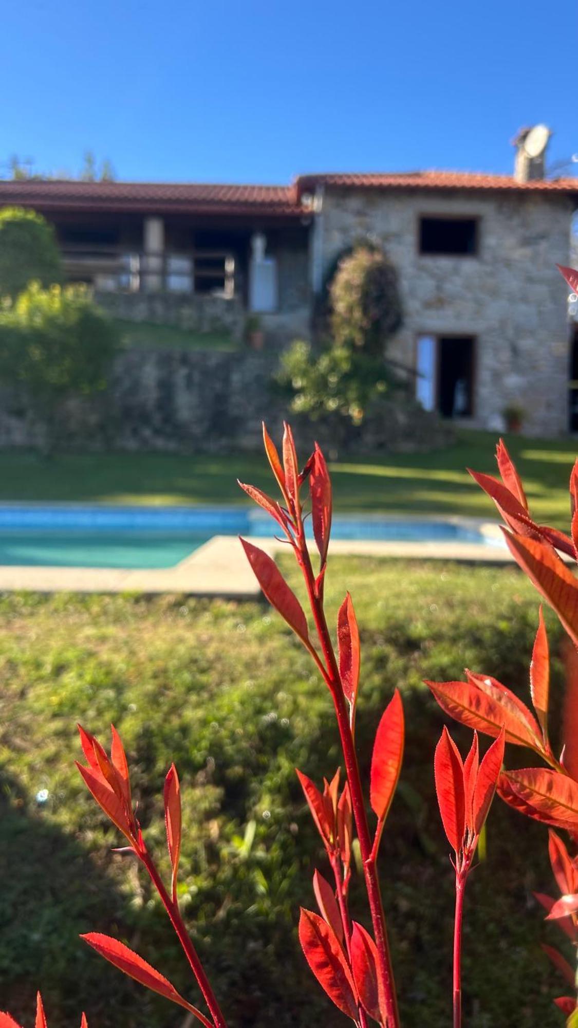 Casa Das Andorinhas Селорику-ди-Башту Экстерьер фото